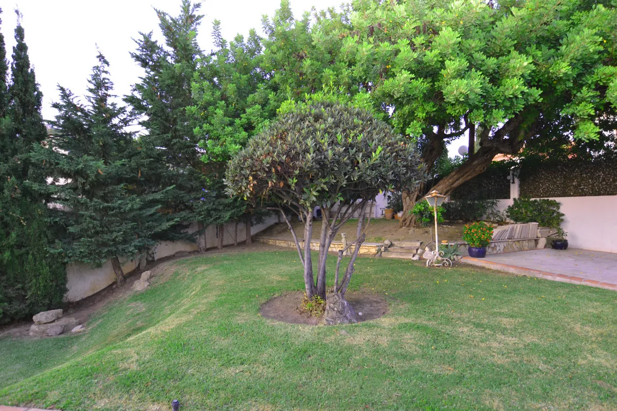 8e805b6b-4786-4c56-9818-1e306c3d9949