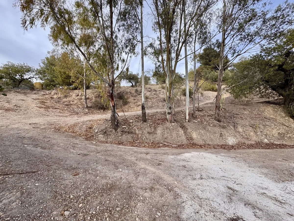 087bcfba-ab55-46d8-8502-aed9d3428620