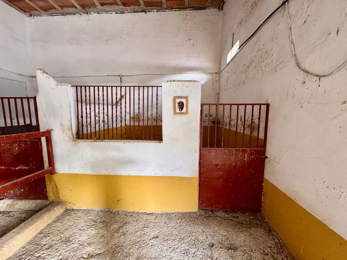 0ce4dd11-ceea-46fd-ac79-21e9b1dc2a39