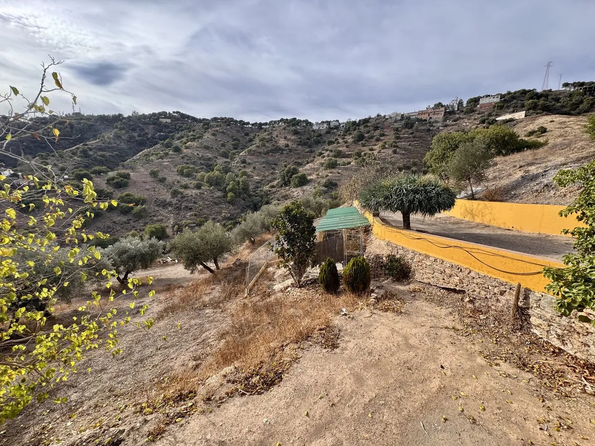 10055d7c-1089-4767-b293-37c2e38581d1