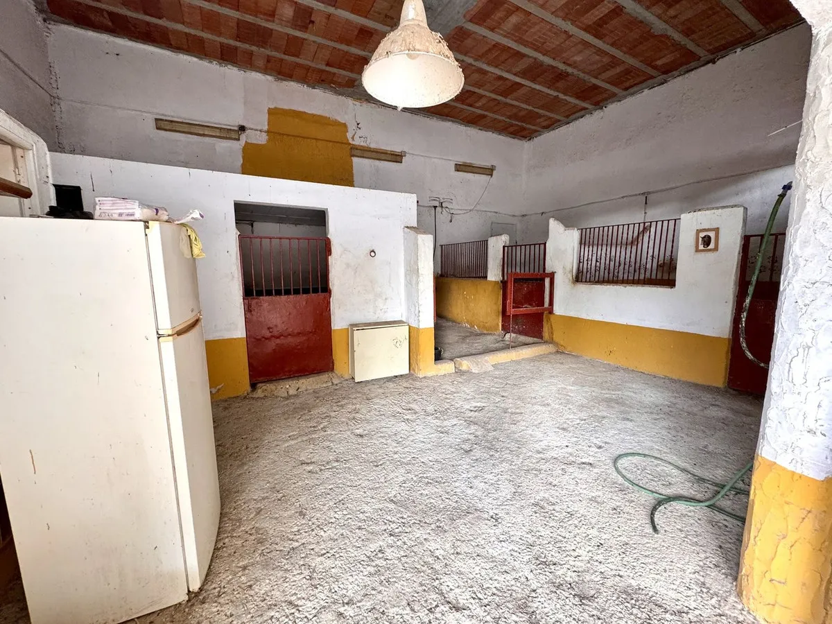 1d4e9a65-009c-4a5c-93d8-0b0aaa0a738c