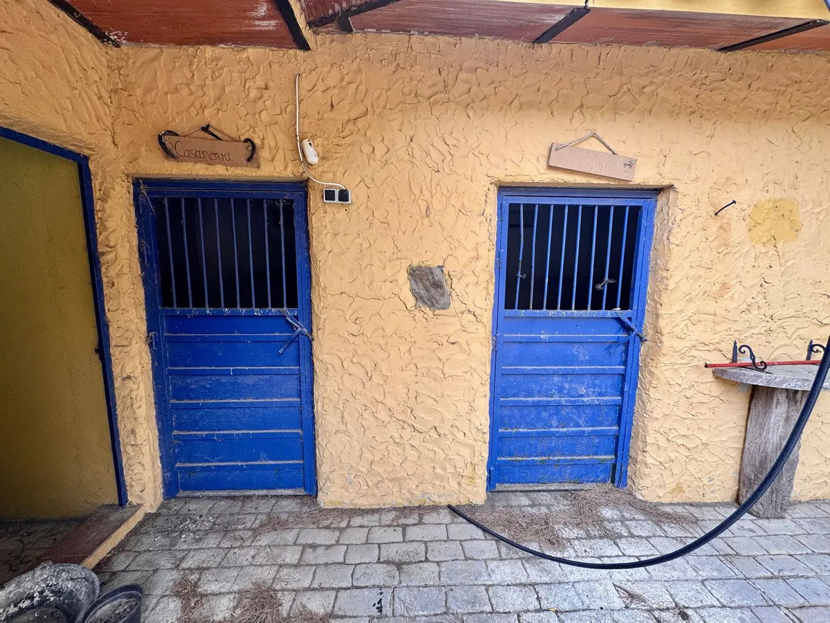 e5318157-993b-48fe-a466-f18b0cc99867