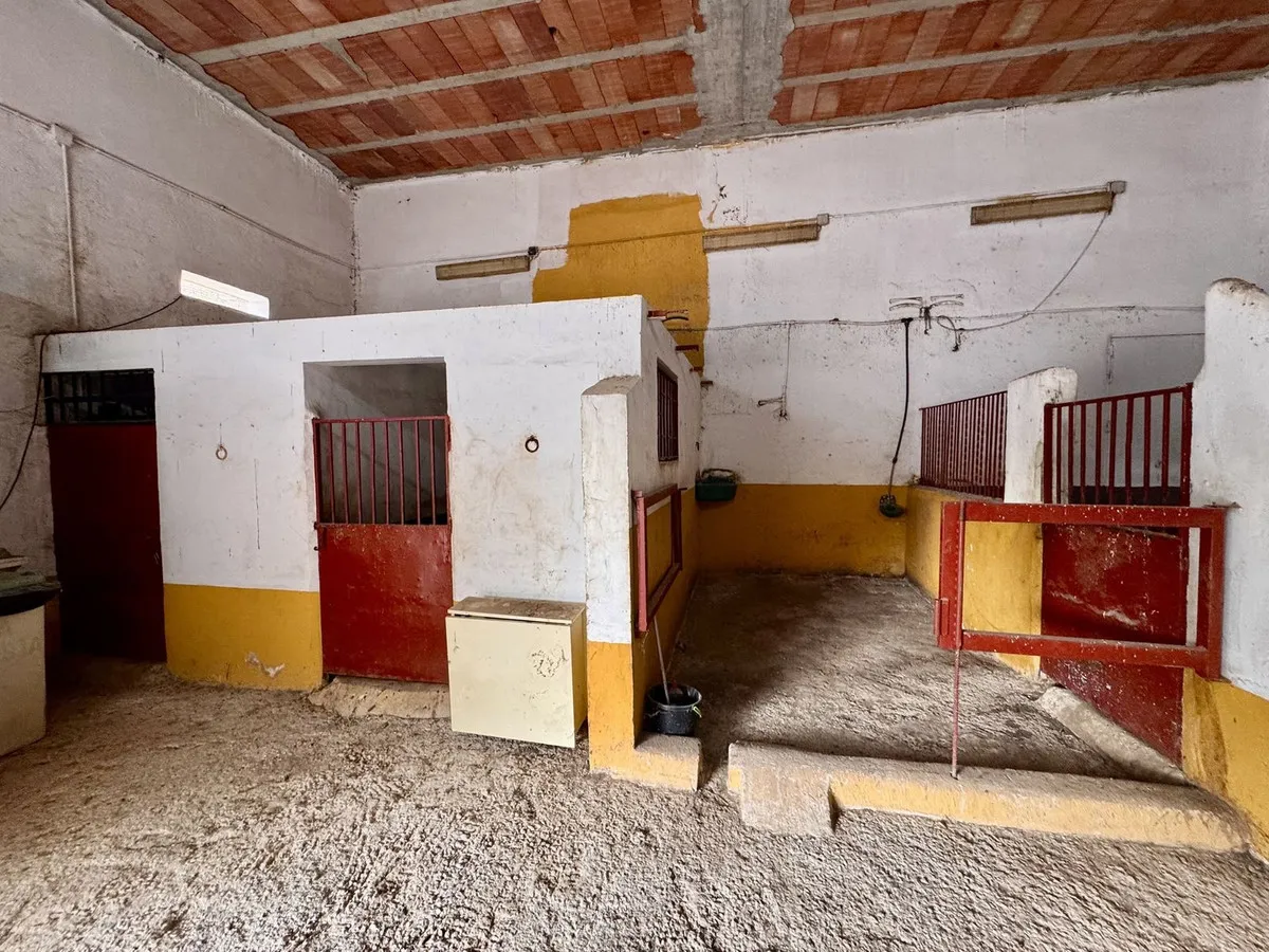 ef8b1082-c757-48d5-a7c1-c5d794b1dfe8