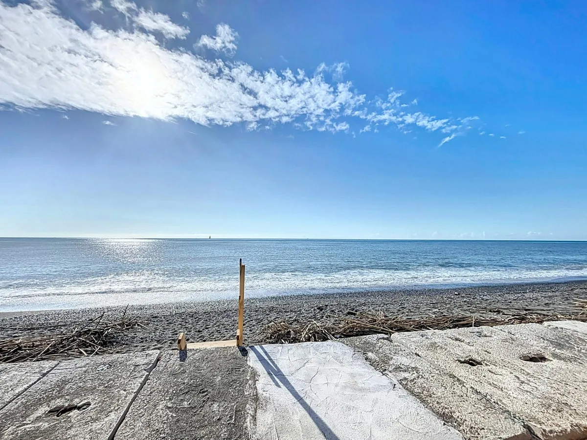 1209d58e-6404-4d81-9184-1f34e1db6d87