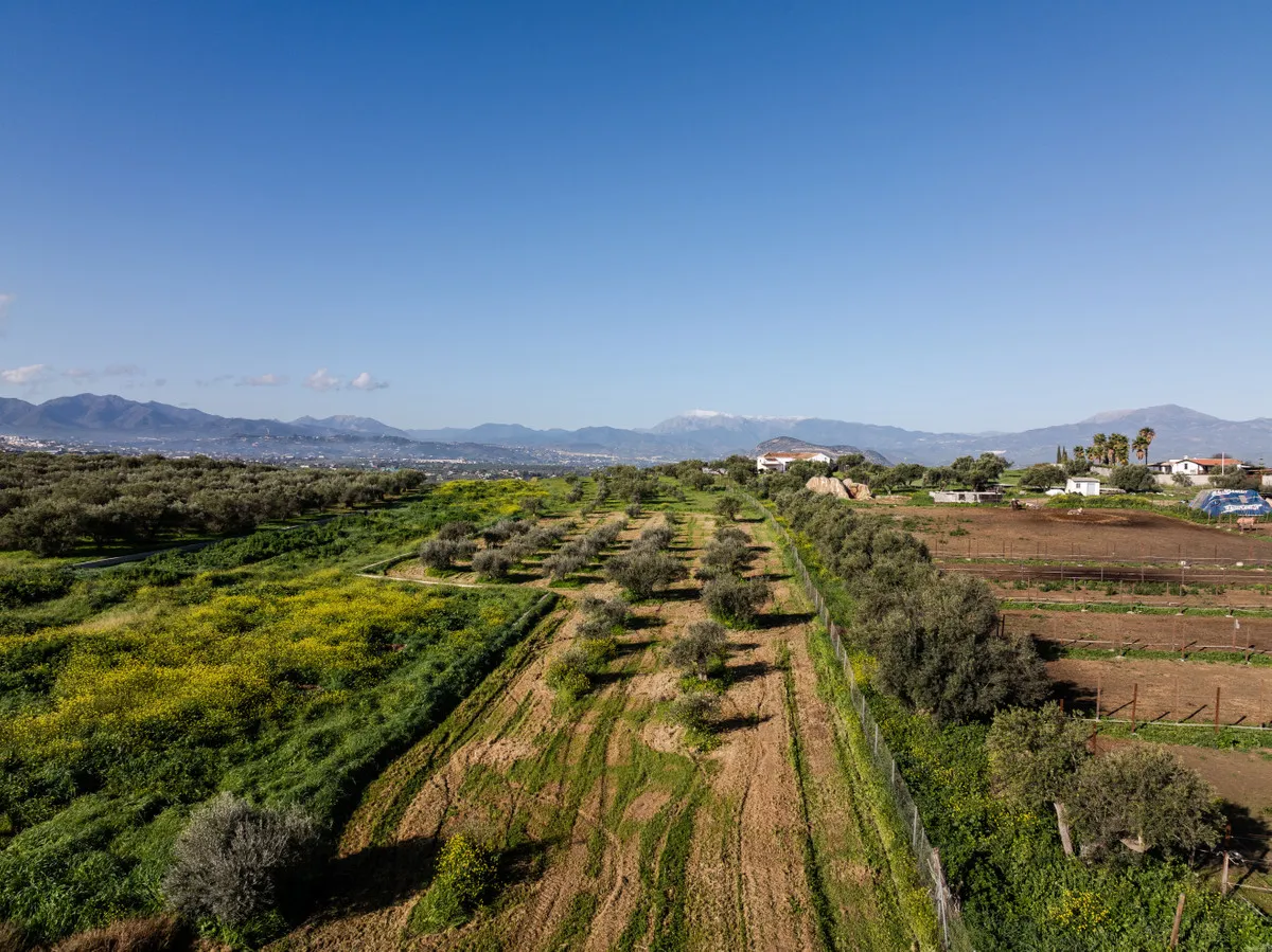 6360013b-7d84-41db-a003-73e77cea215f