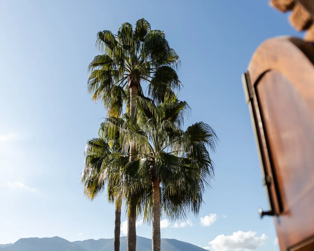 acd3e440-5d24-4b10-ad8b-fb8ce770611e