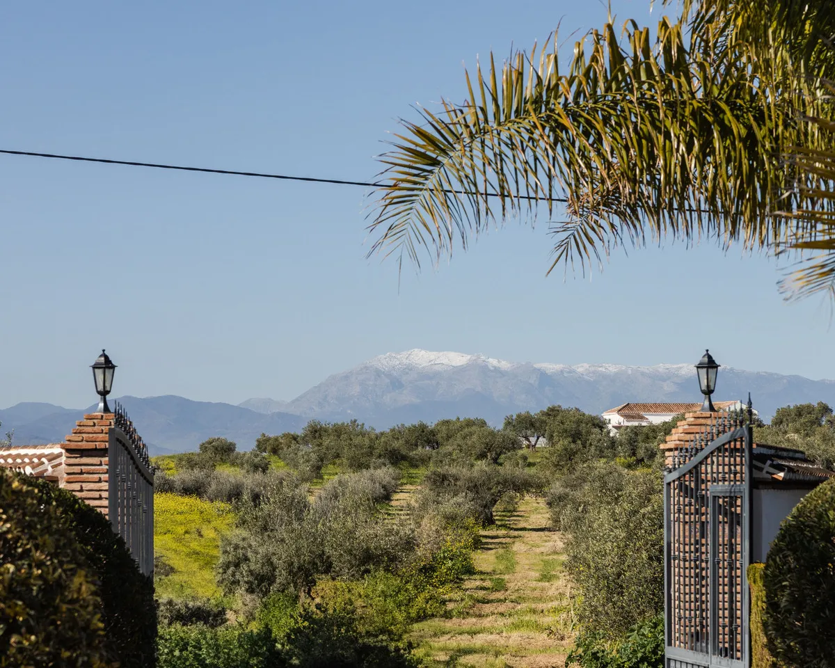 b9d67c4c-c707-416f-a49d-51af7afddd32