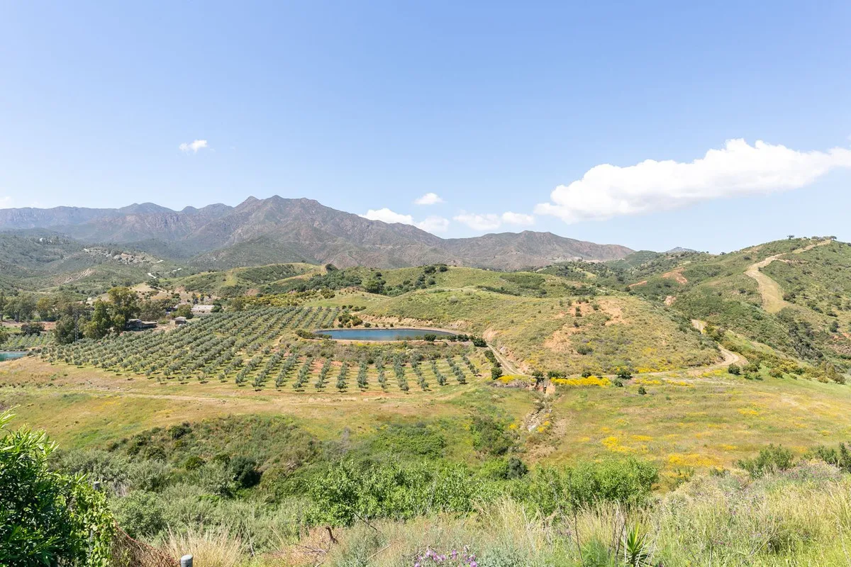 24691938-80d3-4ff6-8d5e-e31961e05355