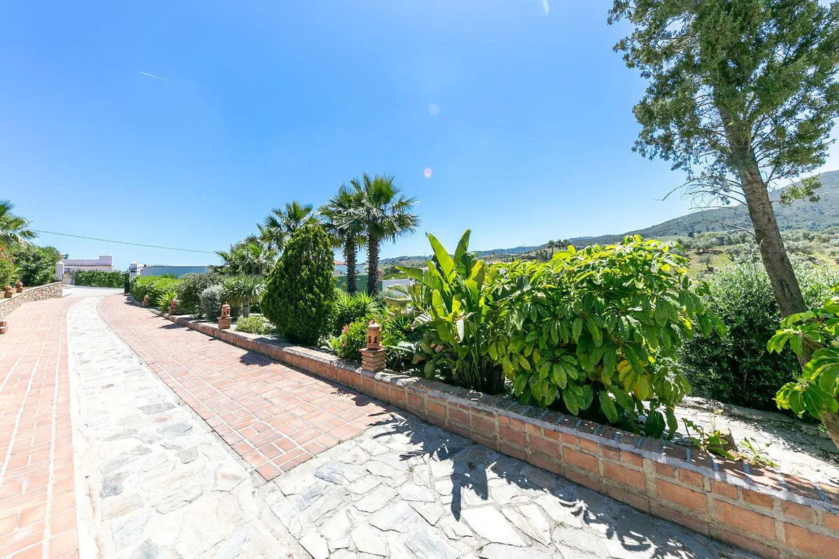 3b05d648-a4b5-48a0-b39d-f270cf9642c5