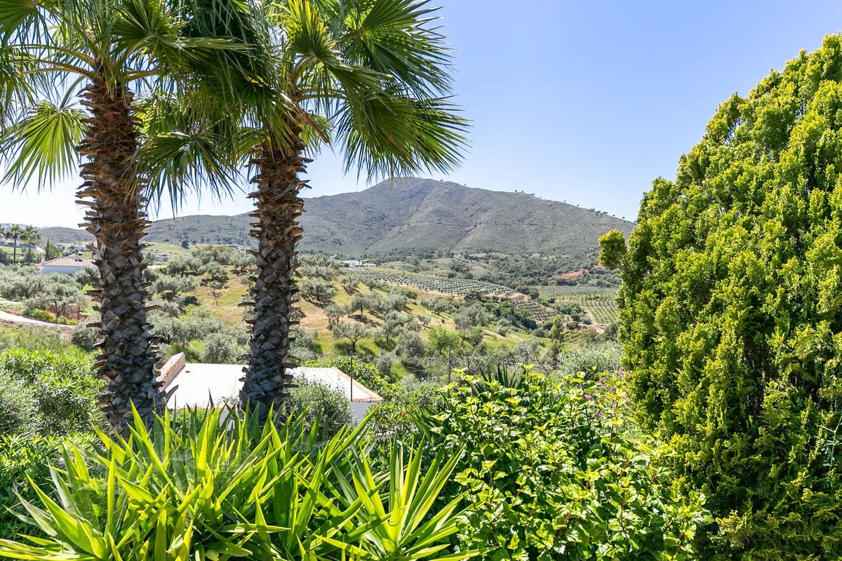 f0c89212-fcc0-488e-b963-7ddcce15fa9d