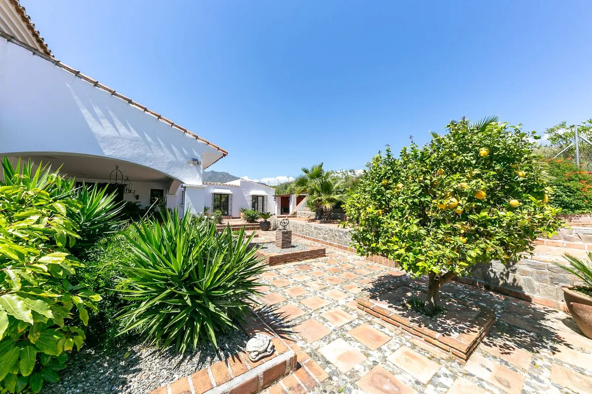 f169904f-44ba-4afa-8ac4-084e7dbb5ef9