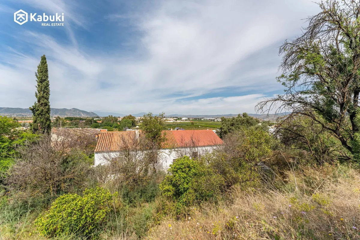 d8ad3095-e41d-4229-a0b4-0bf7265c5c00