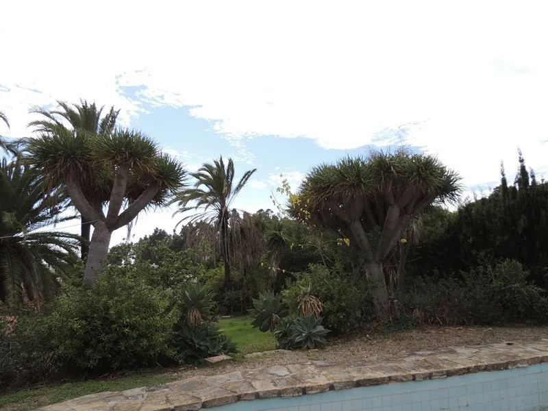 97c5974b-a751-45b3-a7a3-1bf6f878f1d3