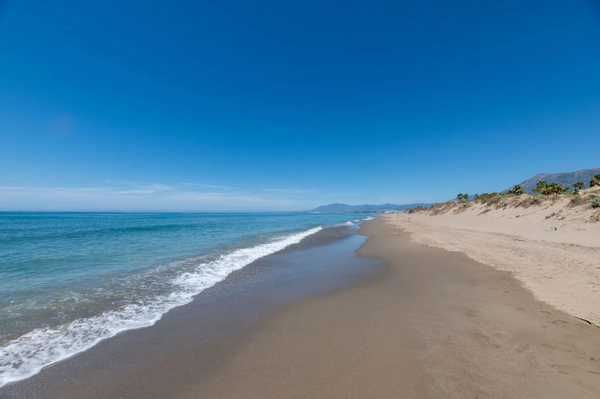 6ace70f3-eb10-4fc5-84dc-7816a9e2f839