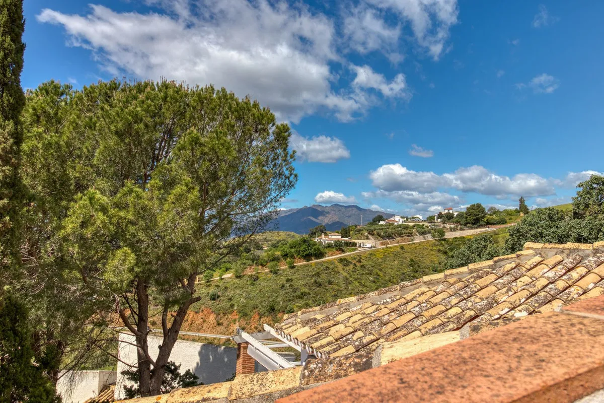 52aad674-baea-4a48-a1a6-90626c34896a