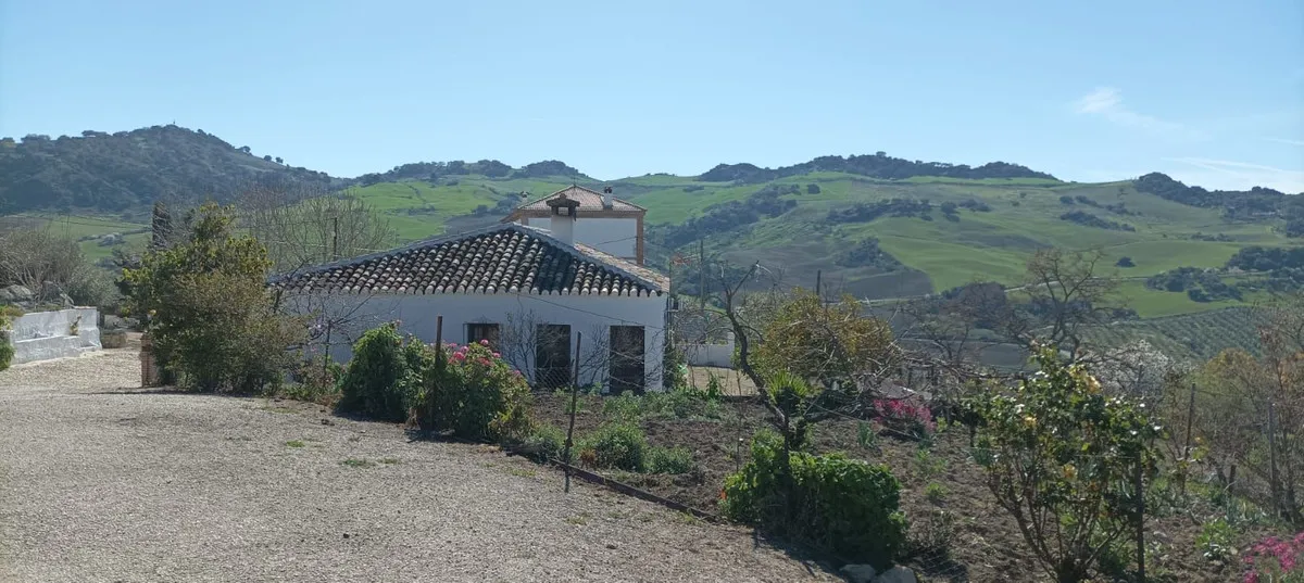 0a5c9629-c404-4aad-ad20-d886a4ab2bdf