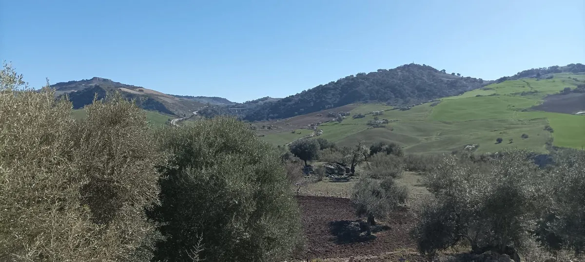 45c8bd77-6600-461d-a3e6-798daf3907ee