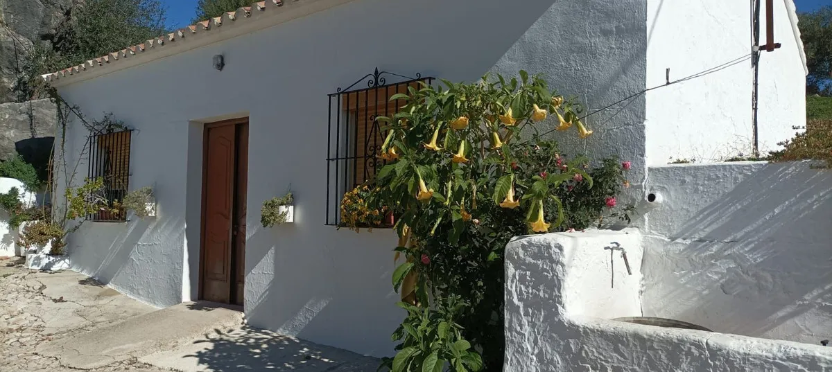 5b7e70d2-c154-4ff2-9829-c4a258bbc5ef