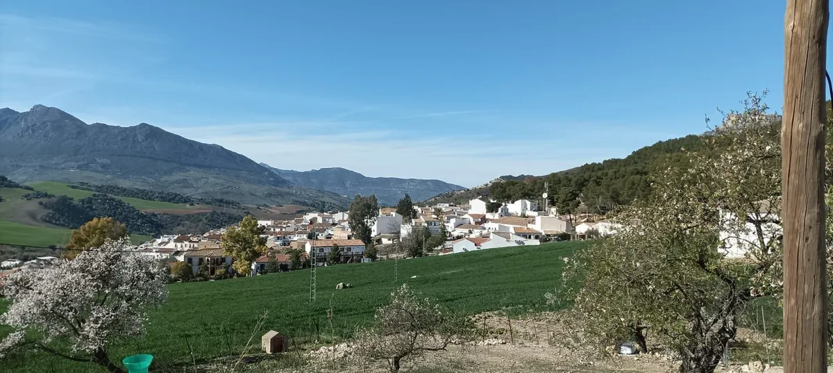 5de83714-c984-46e8-8e8a-9028fc6dfc3c