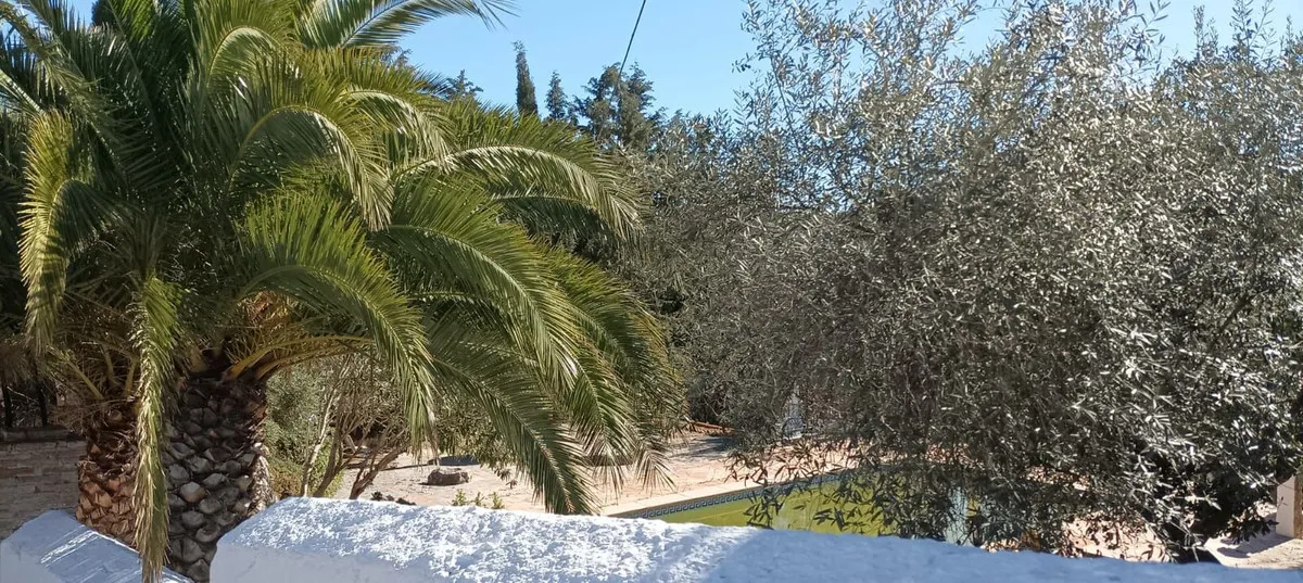 87938d03-c386-49ca-9703-405abfad0e36