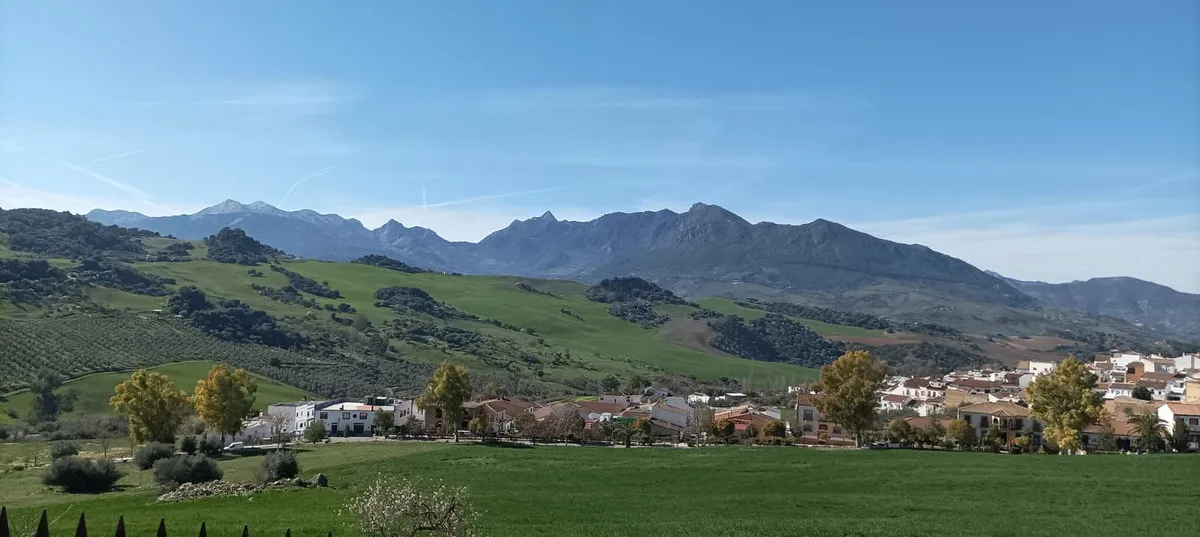 ed8812a9-45a3-402a-a5b0-abd6ba88fdbb