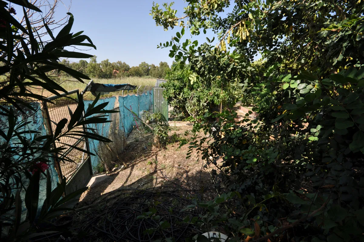 729572a9-8caa-4ed2-aa36-6863b32d3f9f