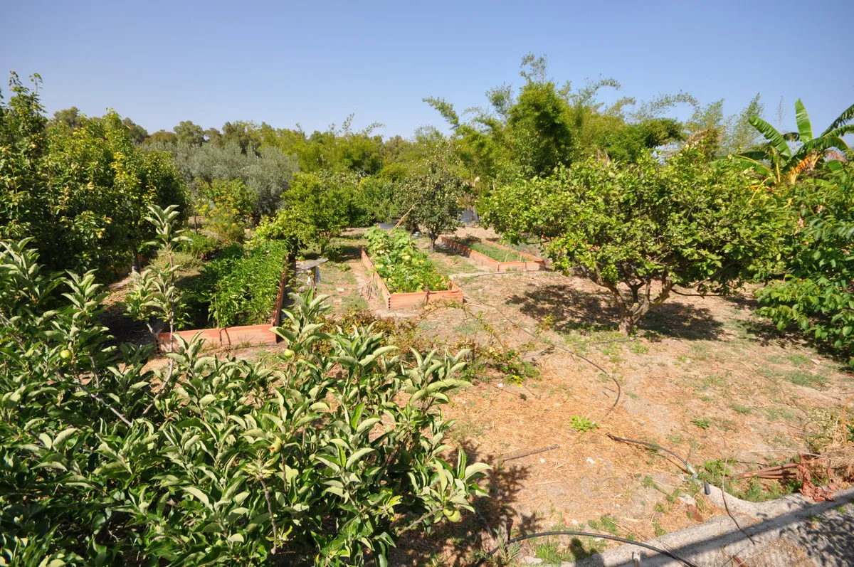 ace4643a-6465-4bba-bbad-8deac015a566