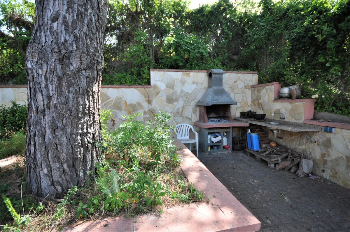 b5ff0f2a-6c94-405a-87b1-763a0950af8b