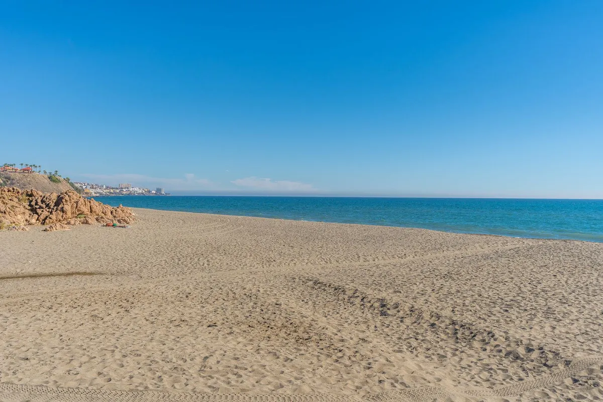 8caea206-b166-403f-971a-d493d844ffe1