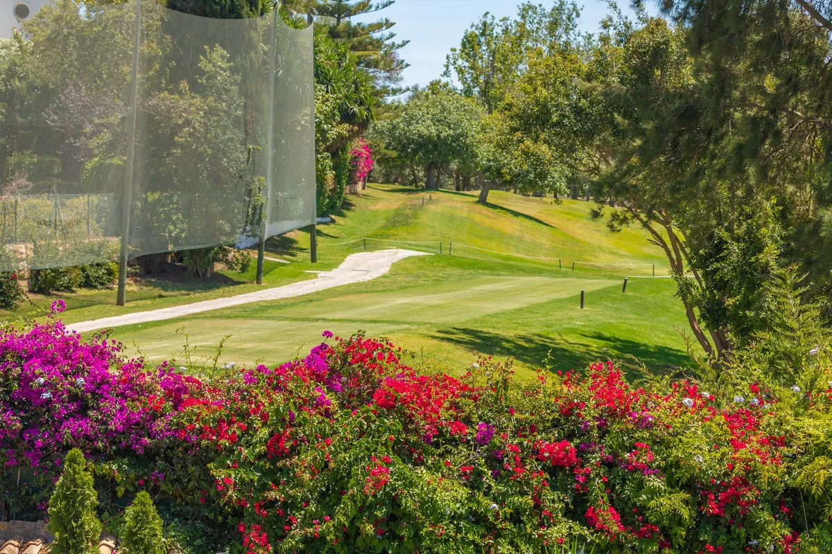 5a8da214-acf8-4d80-921b-8fae7dc87189