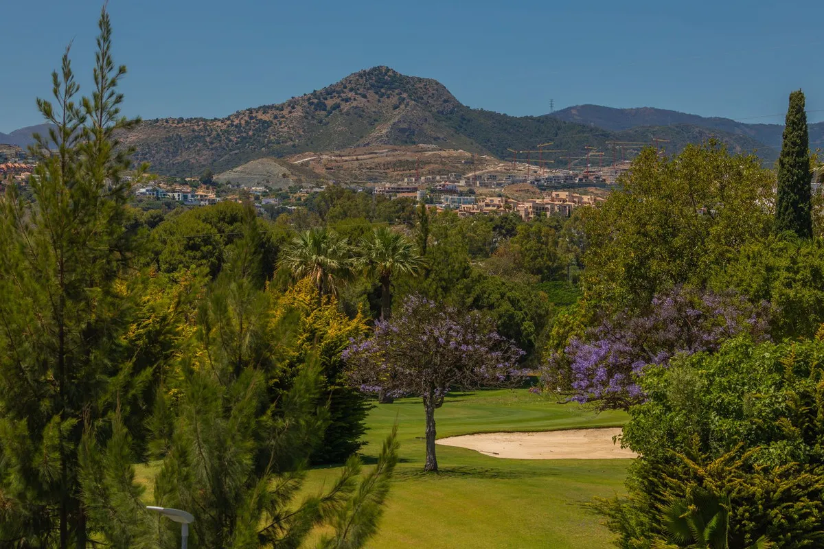 7191f916-5fb1-498a-8e37-fd489d791890