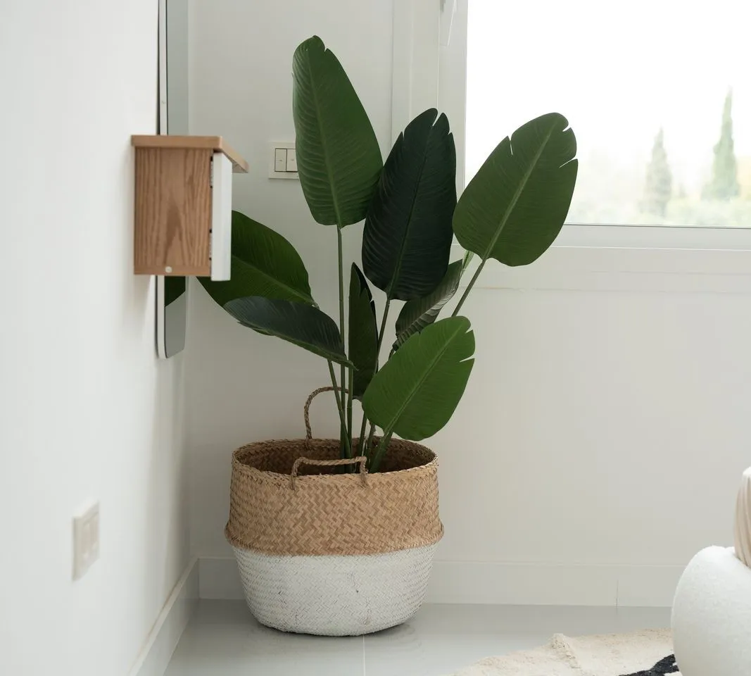 5bf451c3-8ea5-4593-9ae4-222f8309b091