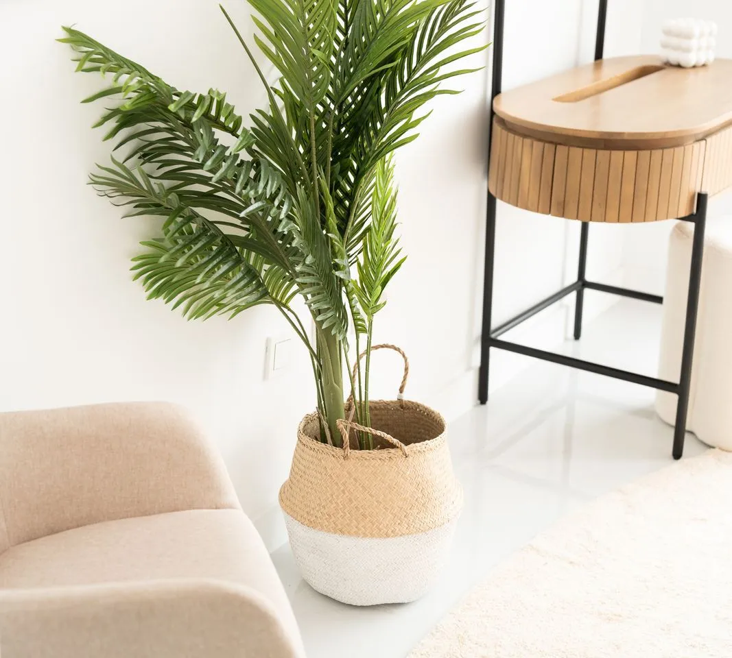 ddd9e62f-8db4-44ca-a46b-6be6ce47baf3