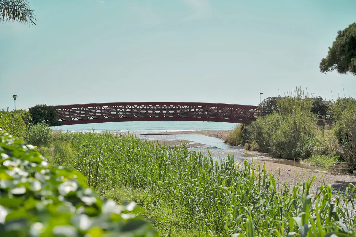 e5696e6d-95d3-407b-bfca-e2ee4e6688af