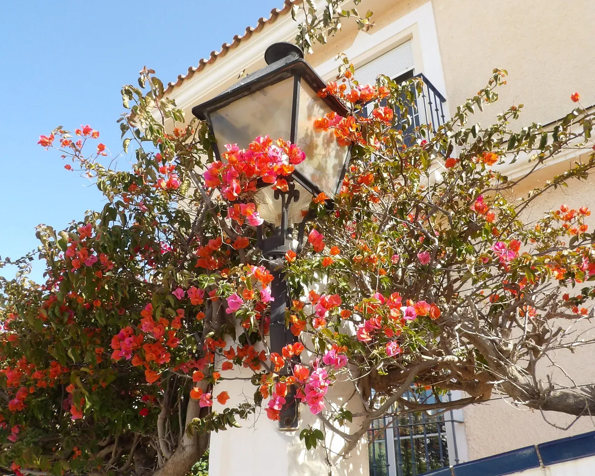 2d1d30e3-ff78-453b-936e-ba3591f9fe18