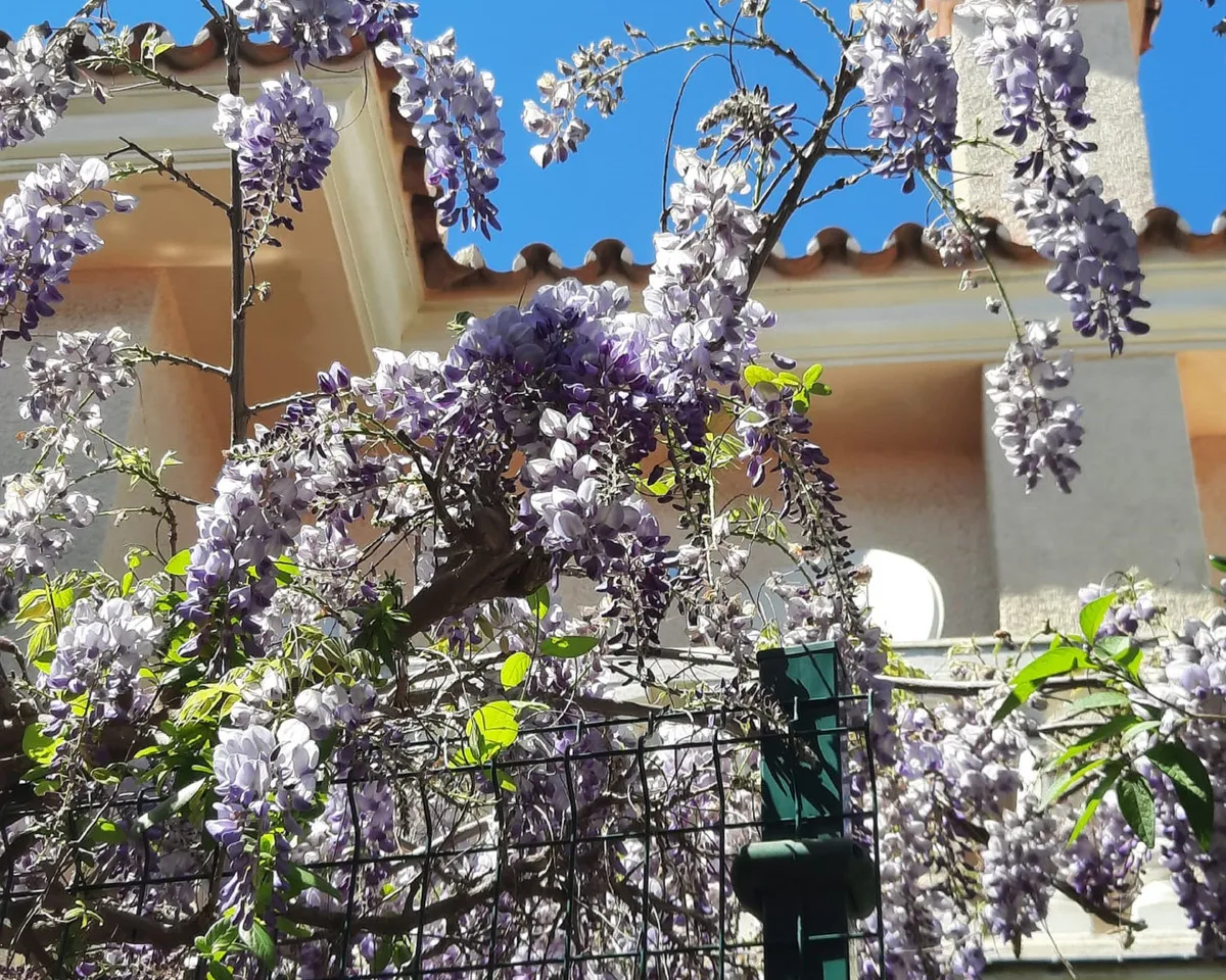 c19bb98d-554e-4d02-a769-7356443518cc