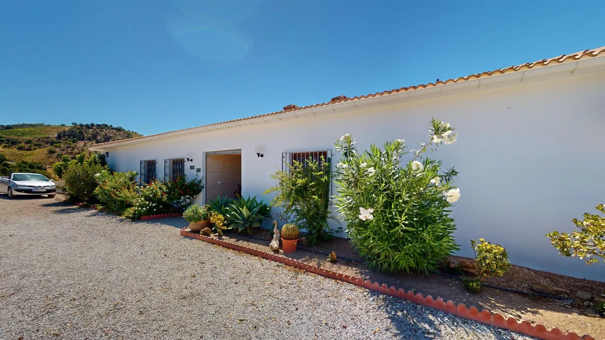 58962c99-0071-455d-b025-edf76f080e06