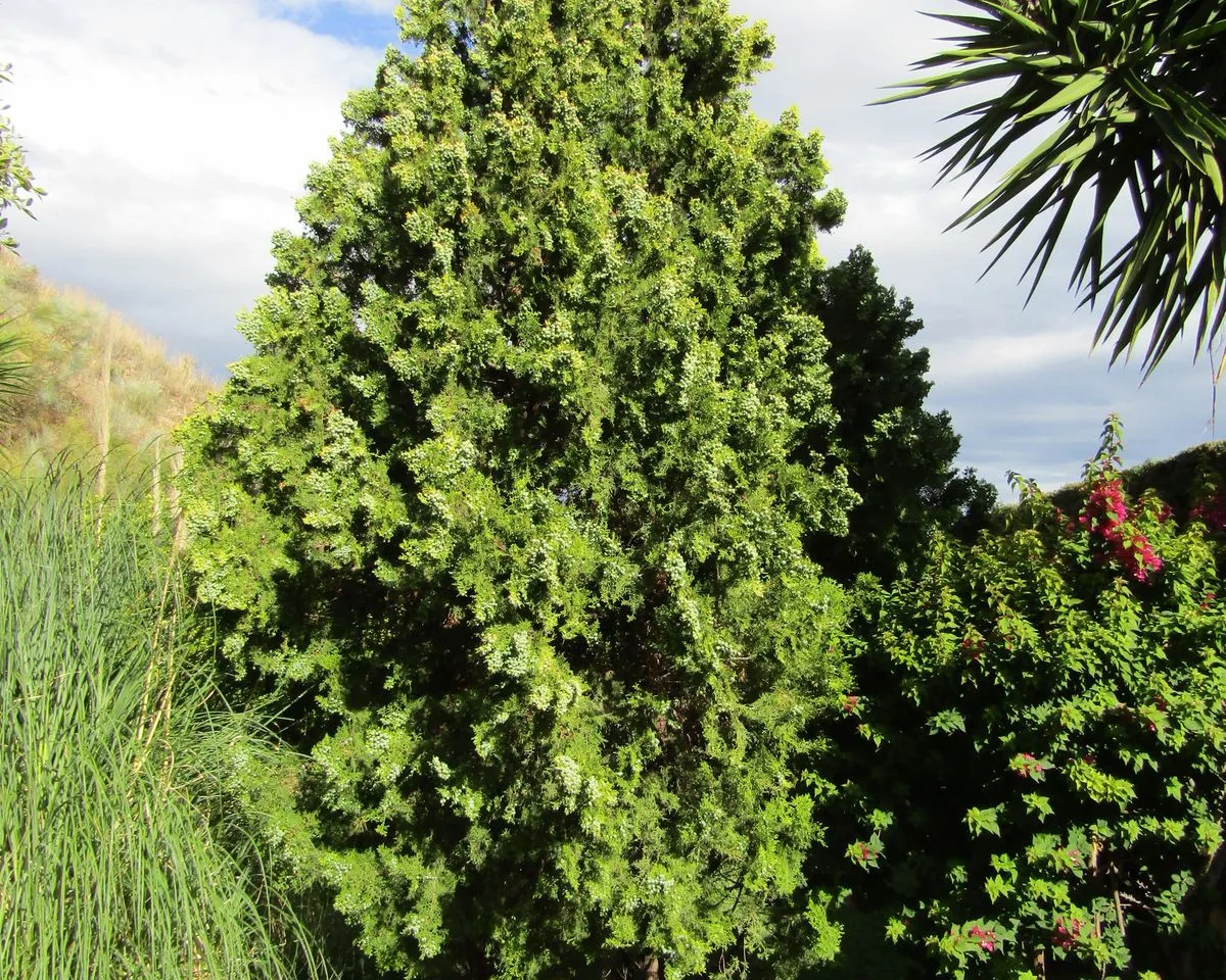 d1fc6b71-93fd-4879-8f18-f0e671e1fc35