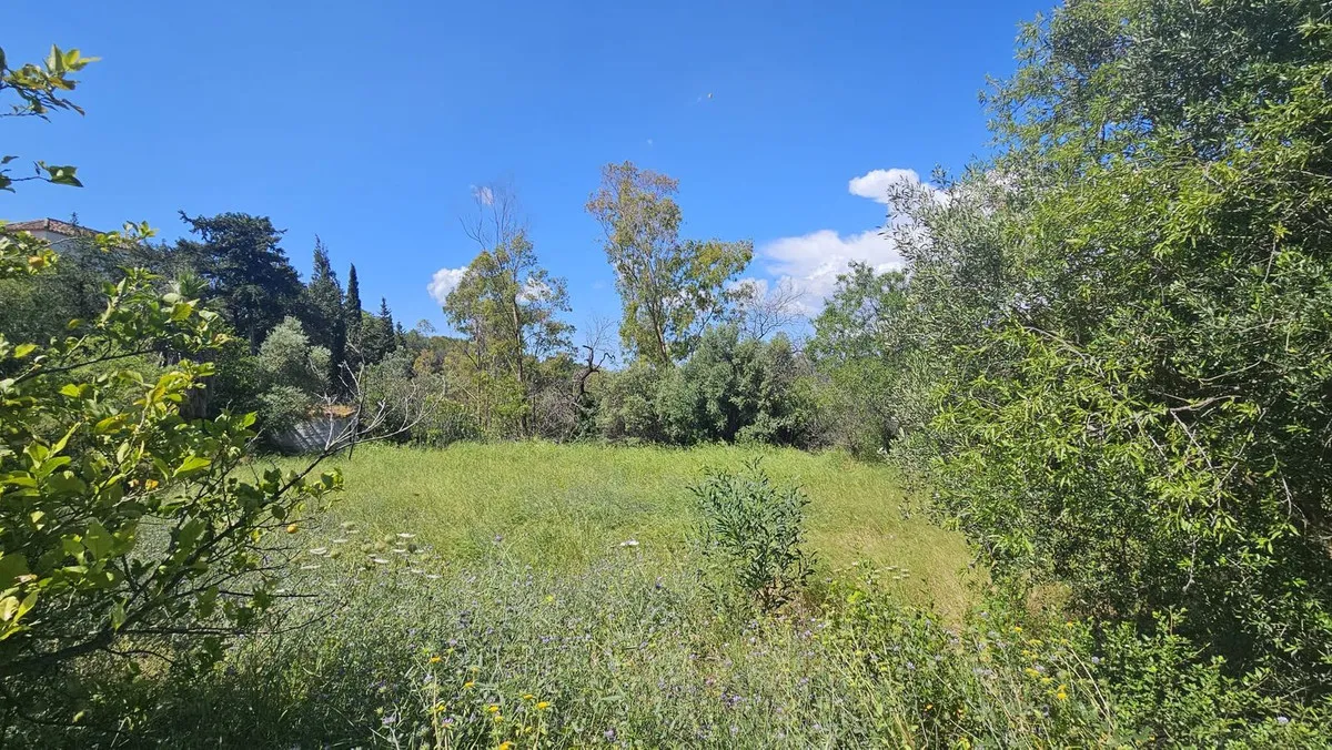 5c111cac-c33e-45f0-a74b-673b663de86a