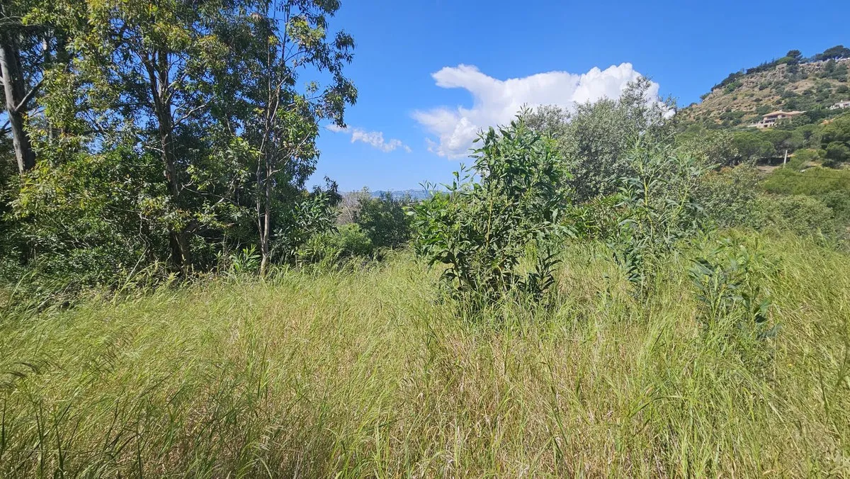 5c87bb01-25fe-4cb4-86c7-6e0e2ef27f12