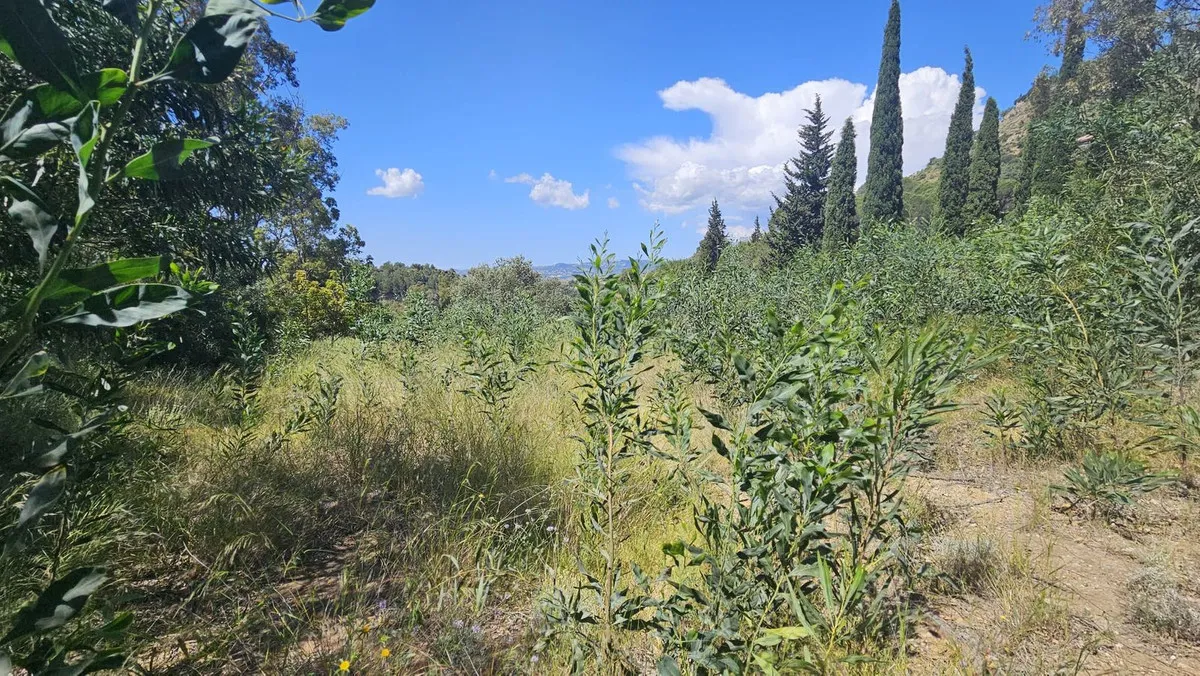 7be6b58e-f5e1-4eb1-8bfb-4256154e33db