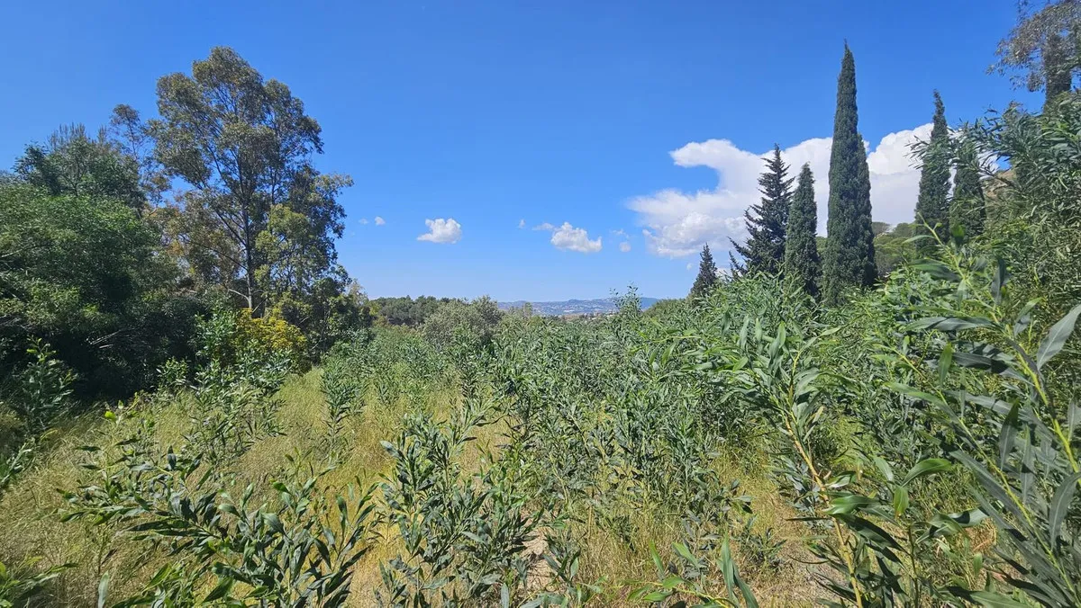 899d58b5-4ef9-4994-864b-c1689fdfa4a4