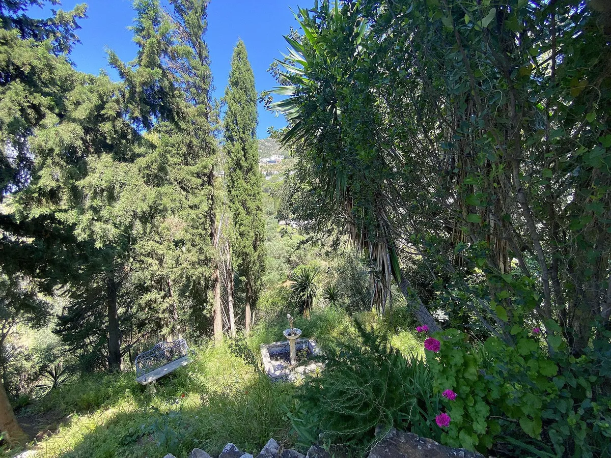 8d6a8180-8a04-4fda-a7b3-1fb788ea16bd