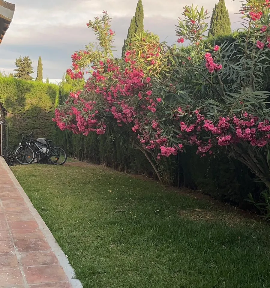 2f9dbcdd-0149-49f2-bac4-cfbdae79d1e5