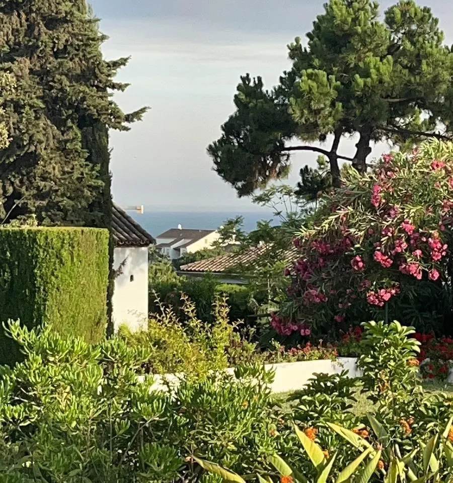 6acf454c-3e0b-48db-9e81-2d1290e207c3