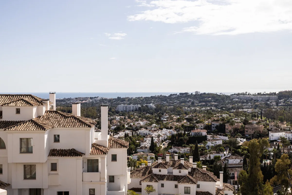 222d5563-d548-43cf-a2cd-6779c0a2d48a