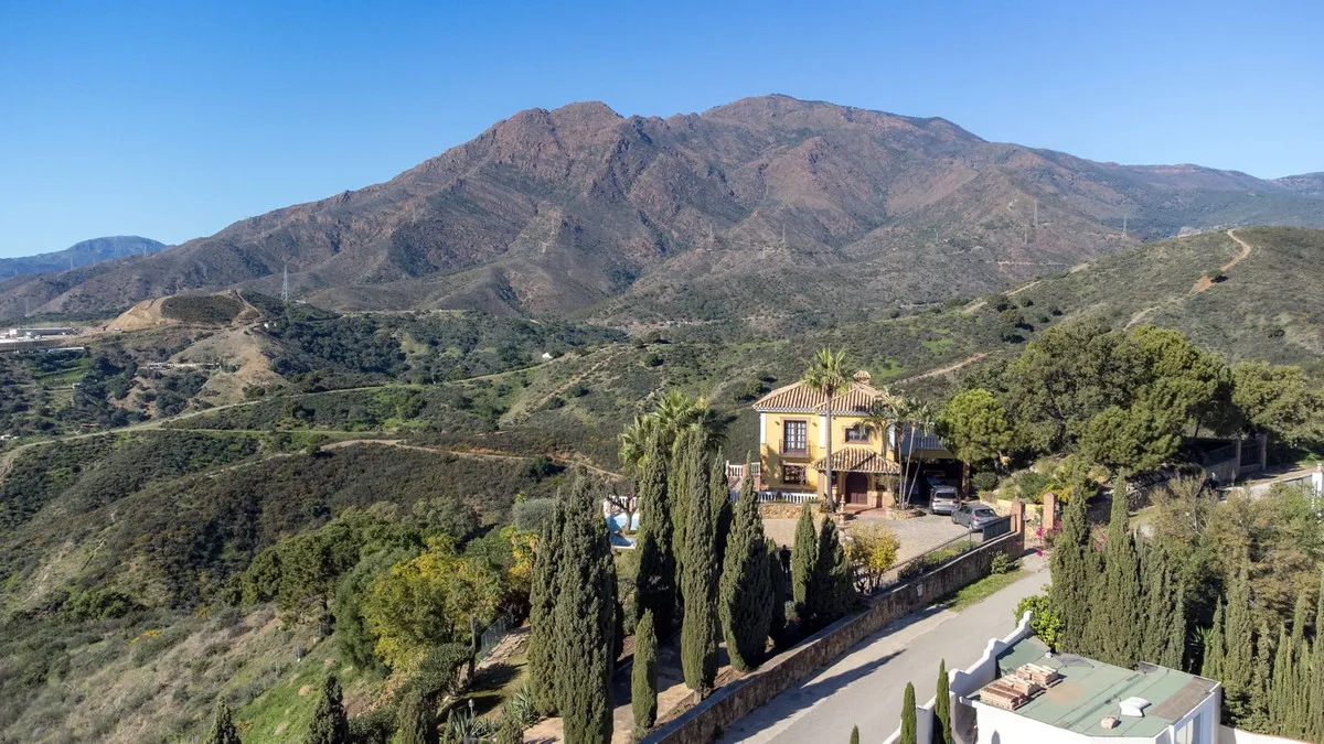 d682c69a-939a-4acc-afcb-000c5e17ec5d