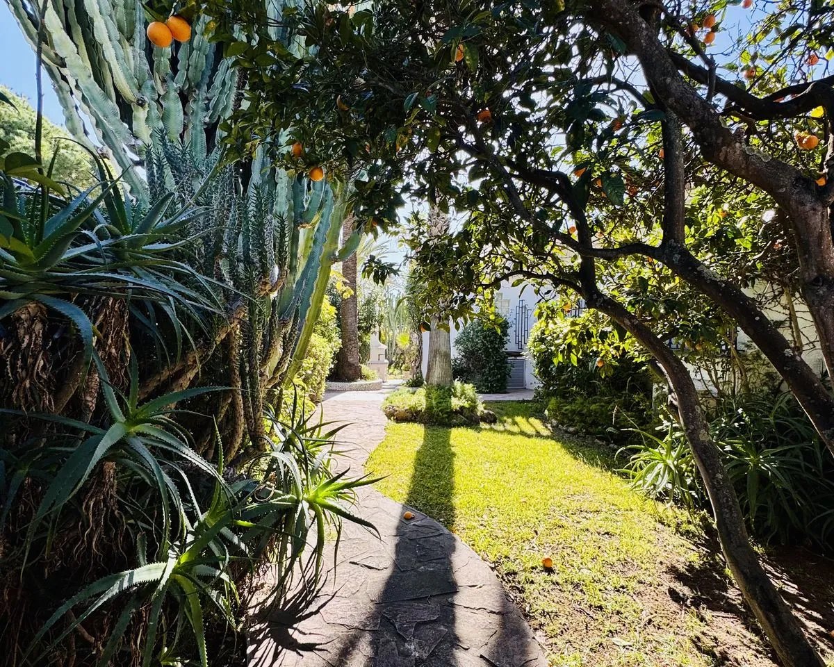 862443b6-0d49-4cfd-8a92-549351031ba4