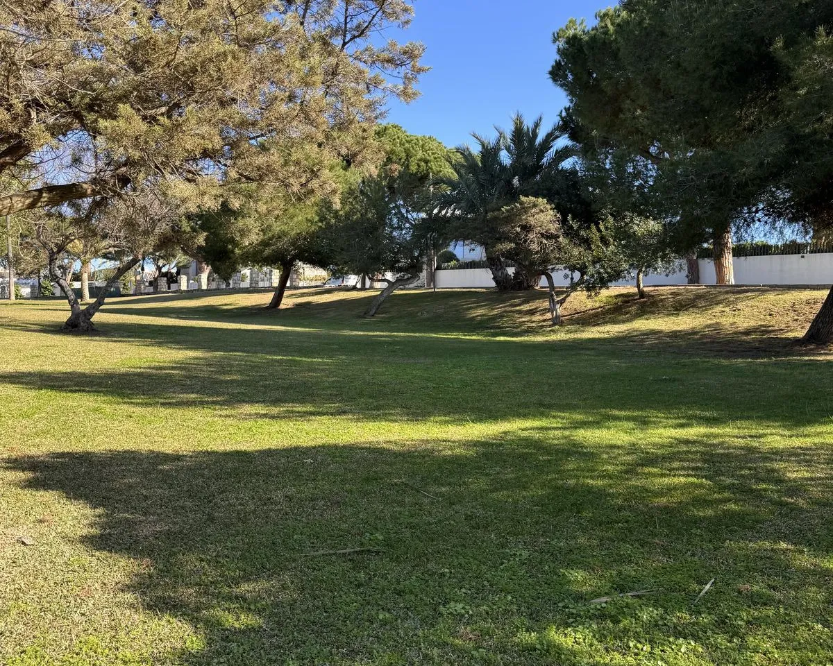 a3a246ca-32d4-4bd6-96af-963b1ce5cc4e