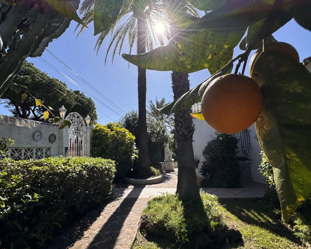 d655ea05-0834-4ebc-a1e5-0d57aa83154a